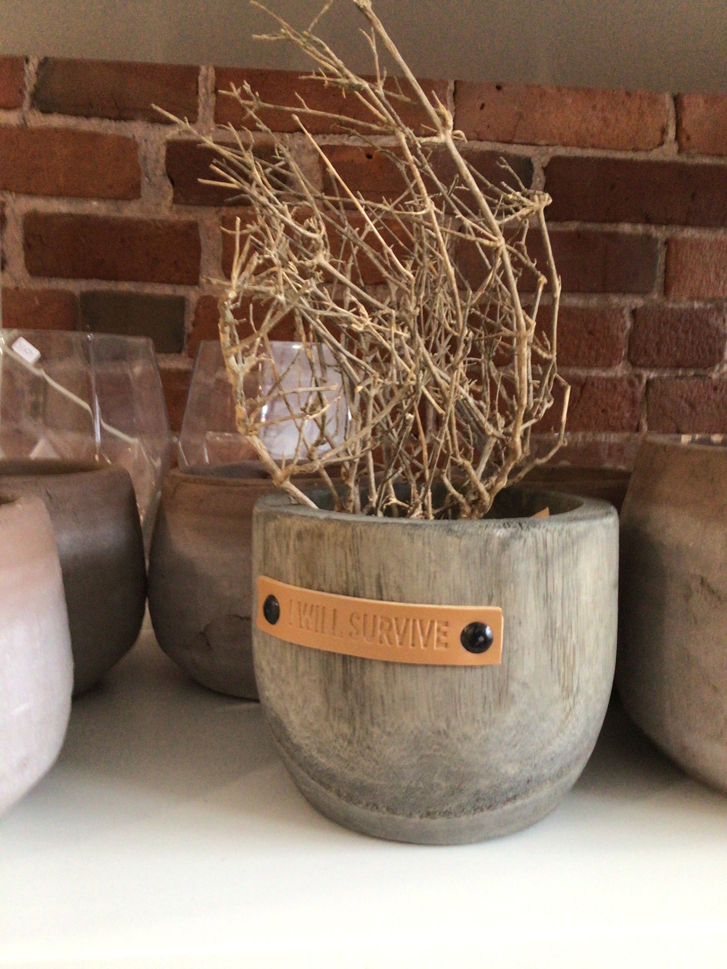 I Will Survive Planter