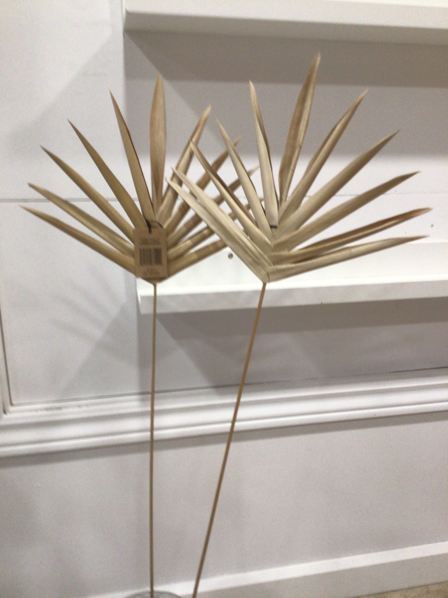 Large Lady Finger Pick