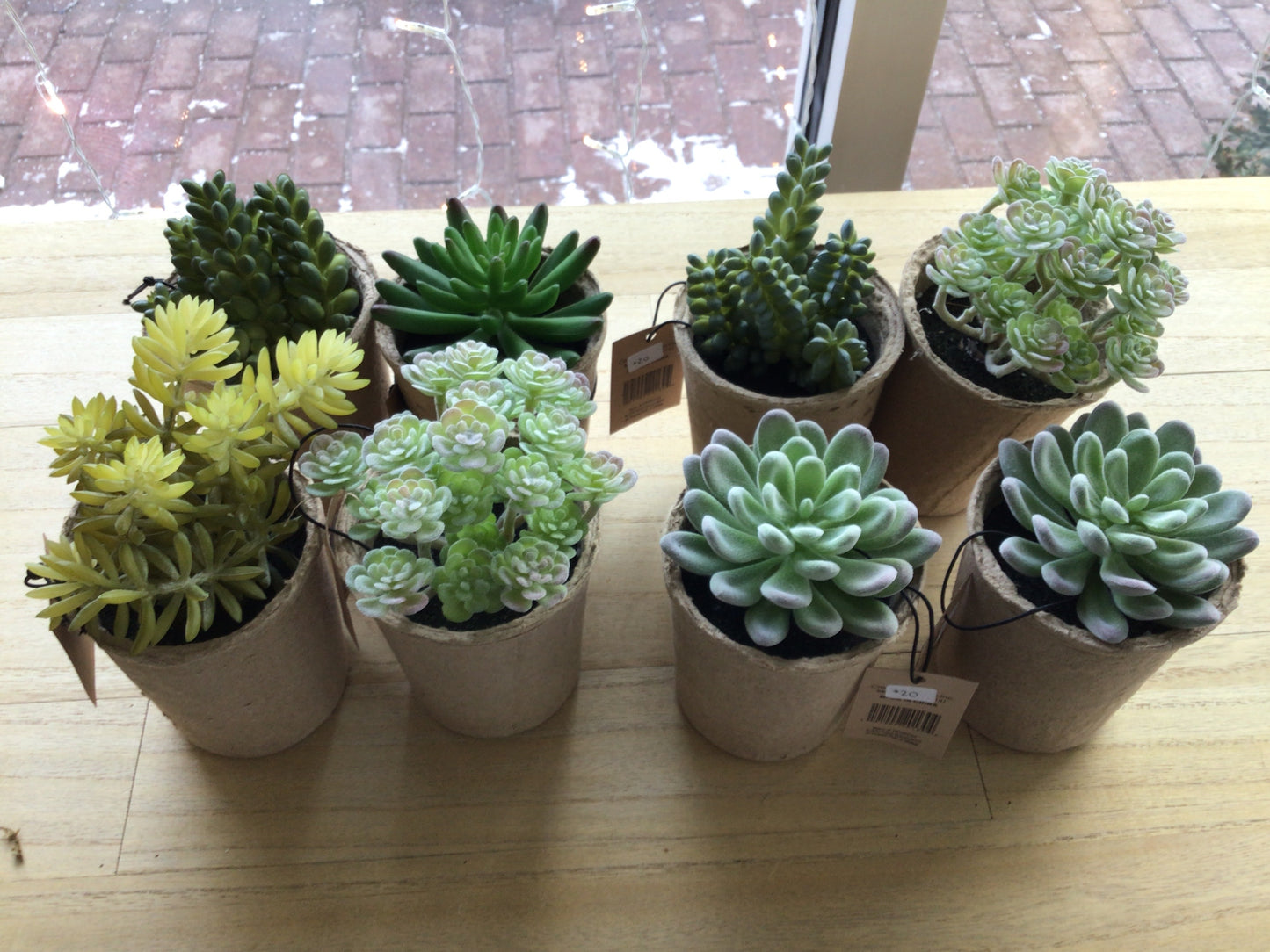 Faux Plants