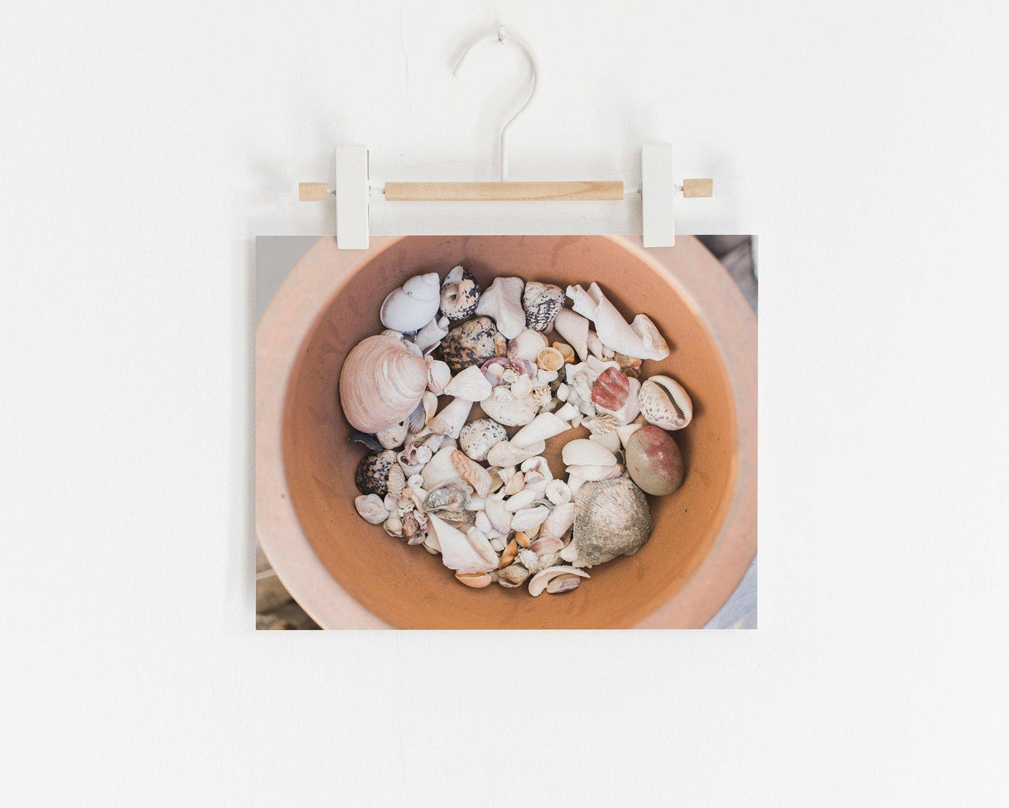 Seaside Treasures
