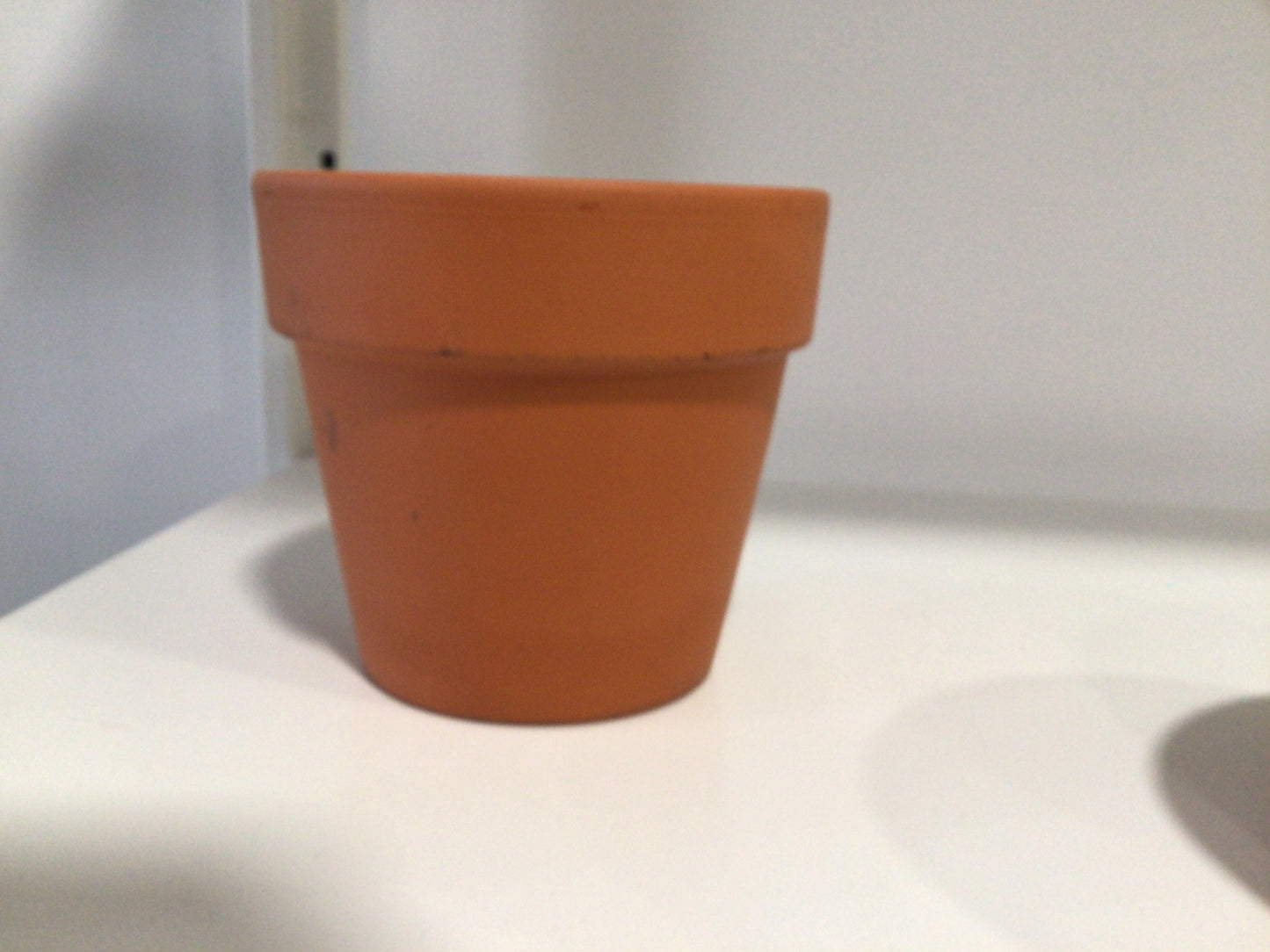 Classic Terracotta Pots