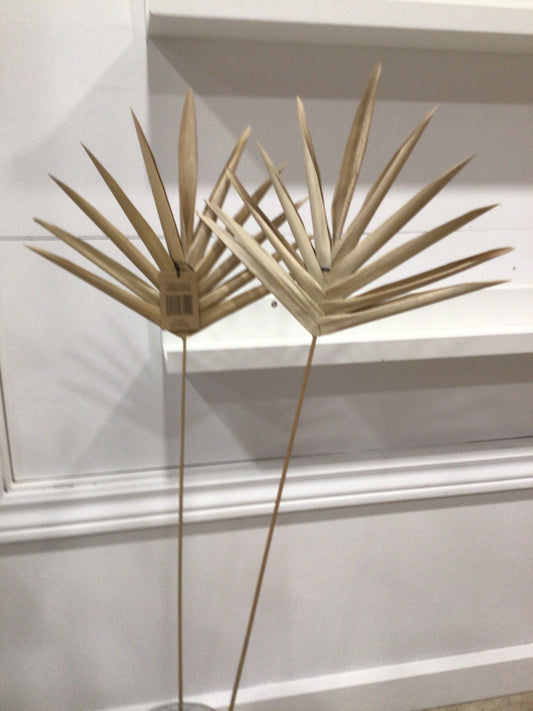 Large Lady Finger Pick