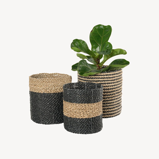 Plant Basket (Black and Natural, 3 sizes)