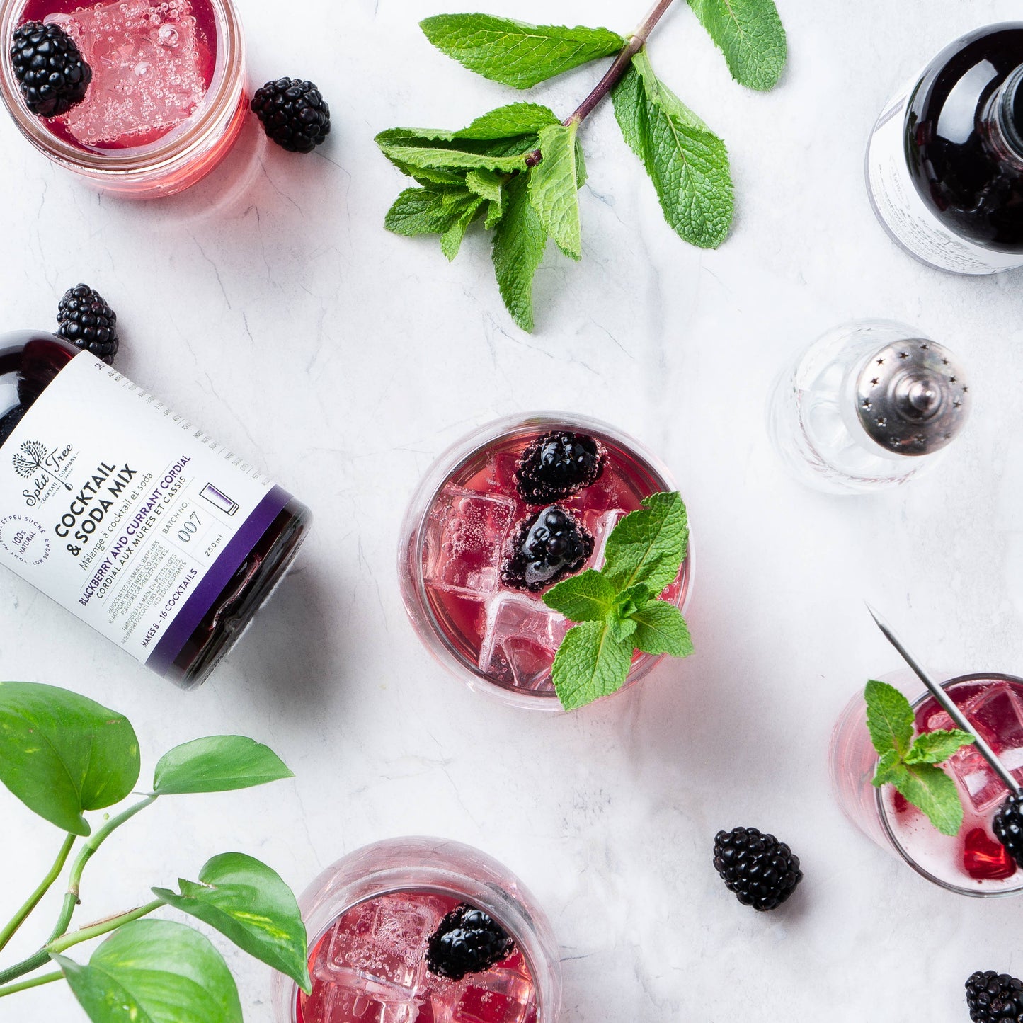 Blackberry Blackcurrant Cordial Cocktail and Soda Mix