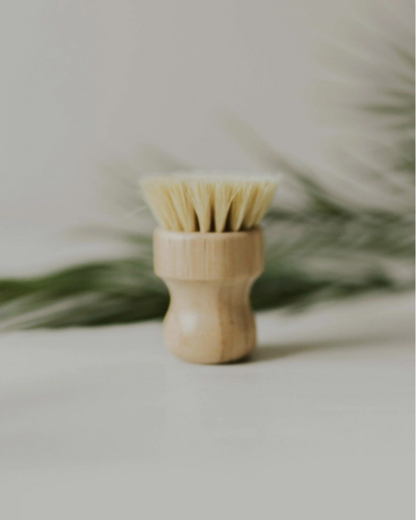 Wooden Dish Brushes