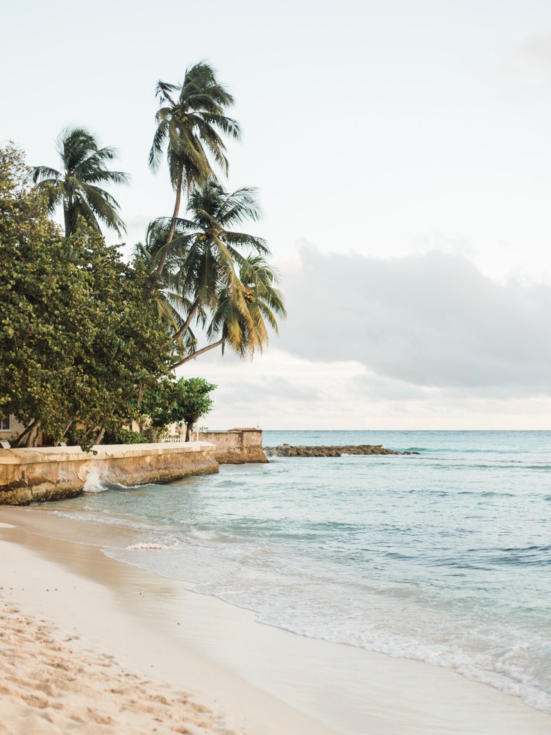 Waves, Sand and Palm Trees